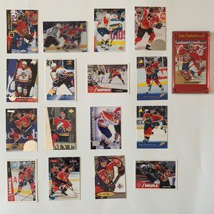 Florida Panthers Vintage NHL Hockey Cards - Lot of 17 w/ Vanbiesbrouck Case